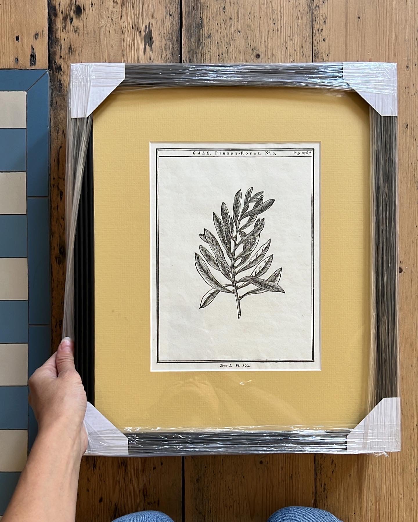A set of 2 Antique Engravings