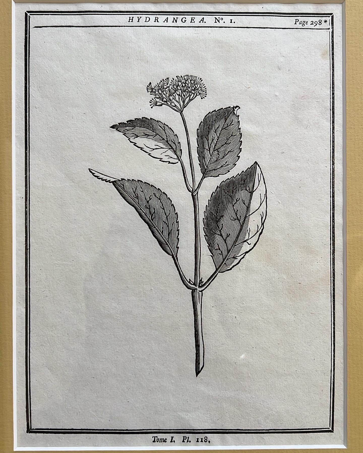 A set of 2 Antique Engravings