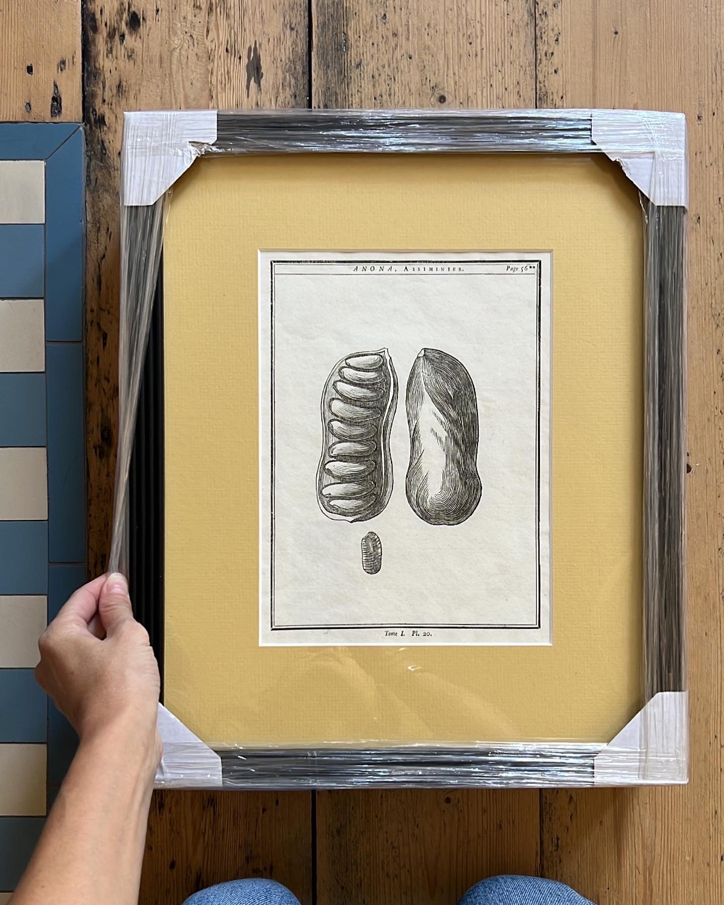 A set of 2 Antique Engravings