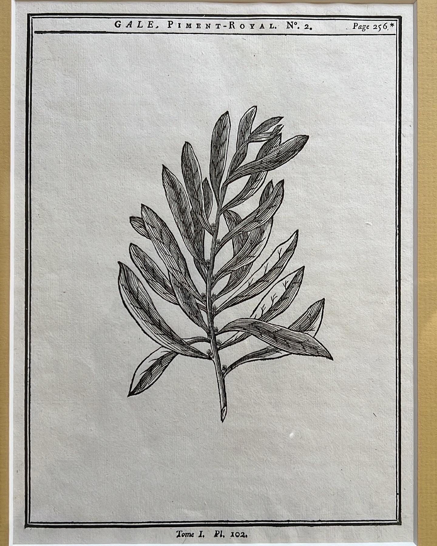 A set of 2 Antique Engravings
