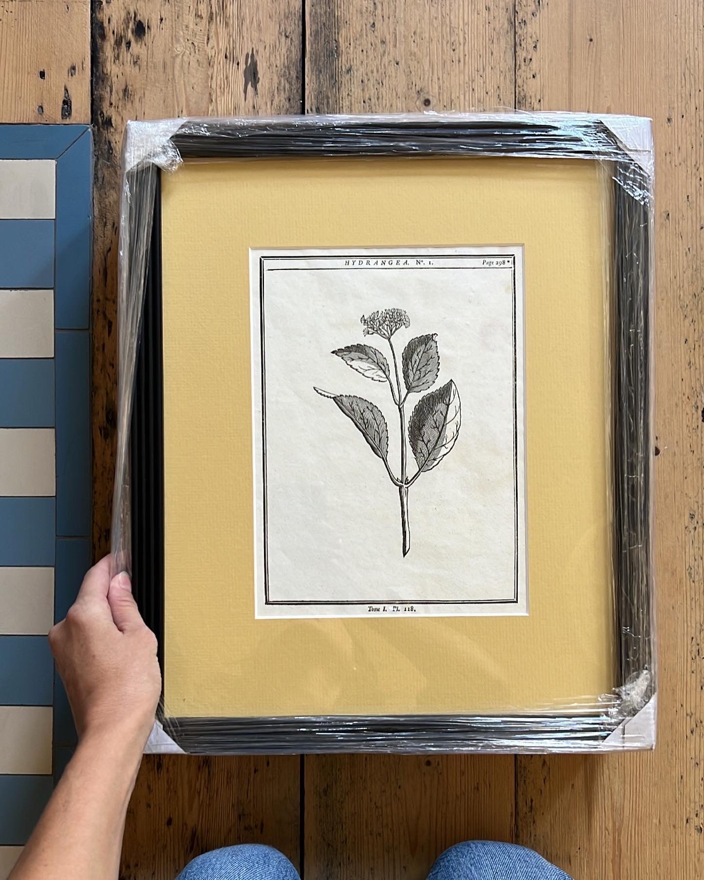 A set of 2 Antique Engravings