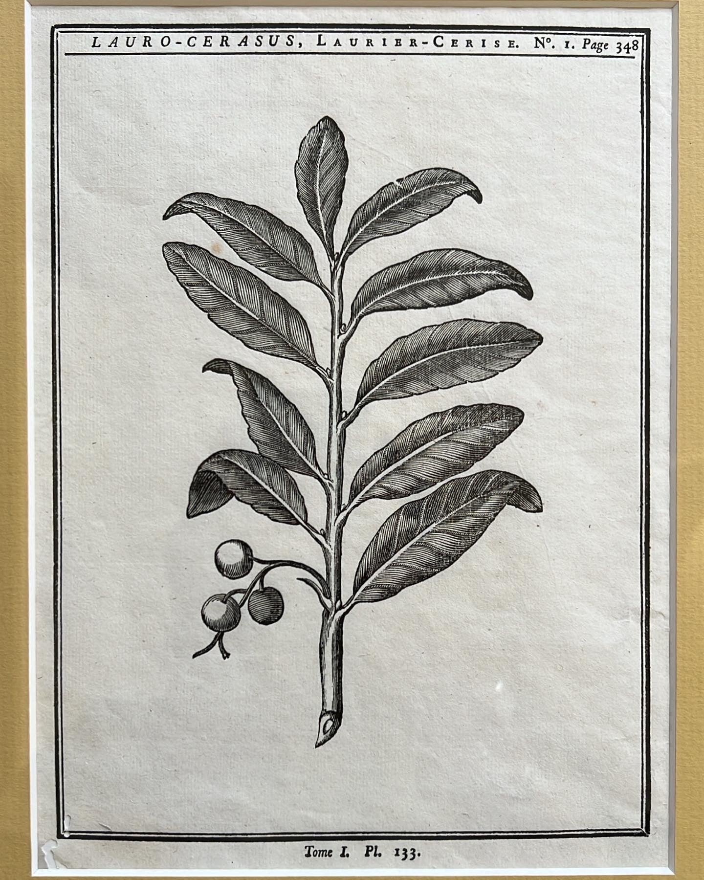A set of 2 Antique Engravings