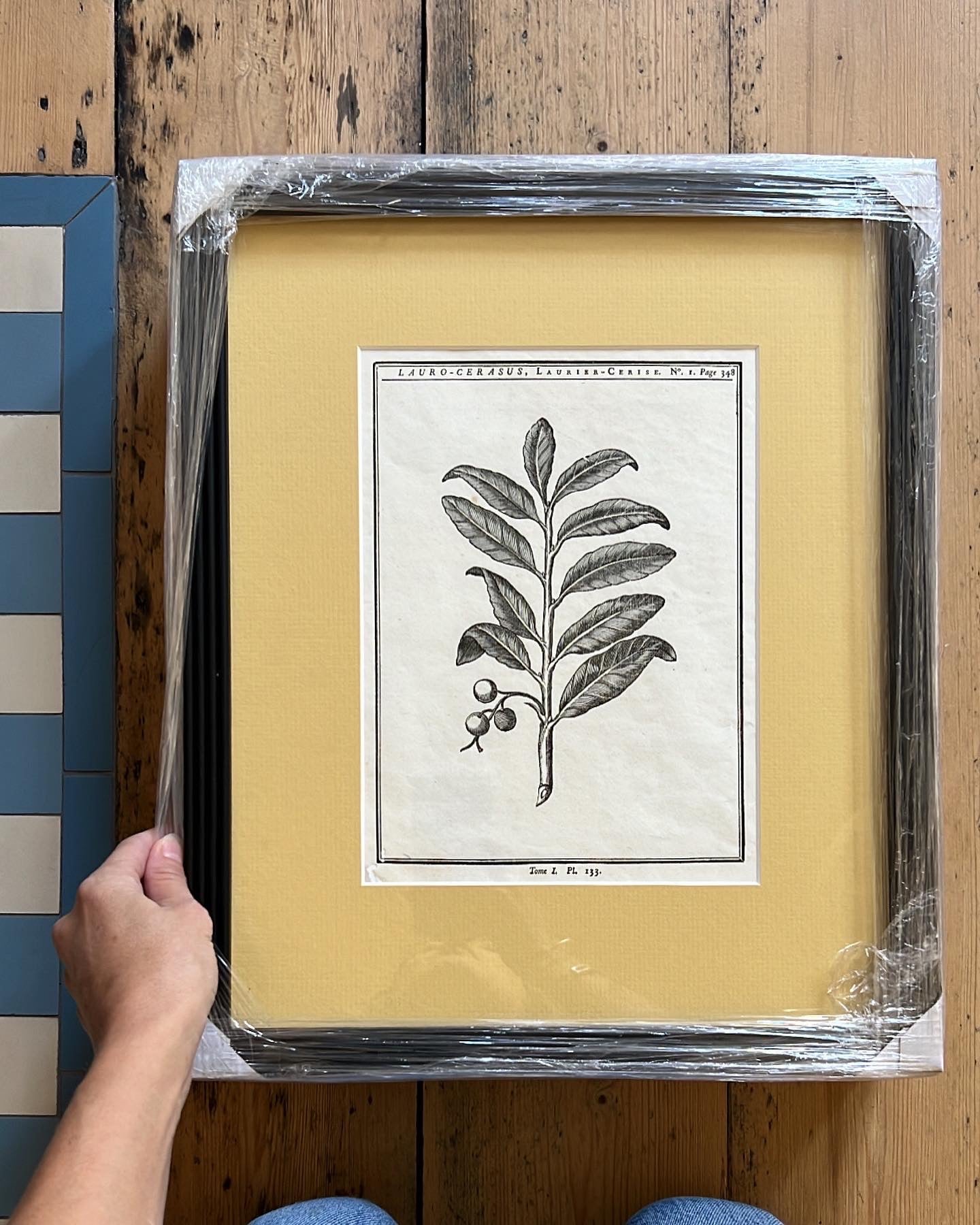 A set of 2 Antique Engravings
