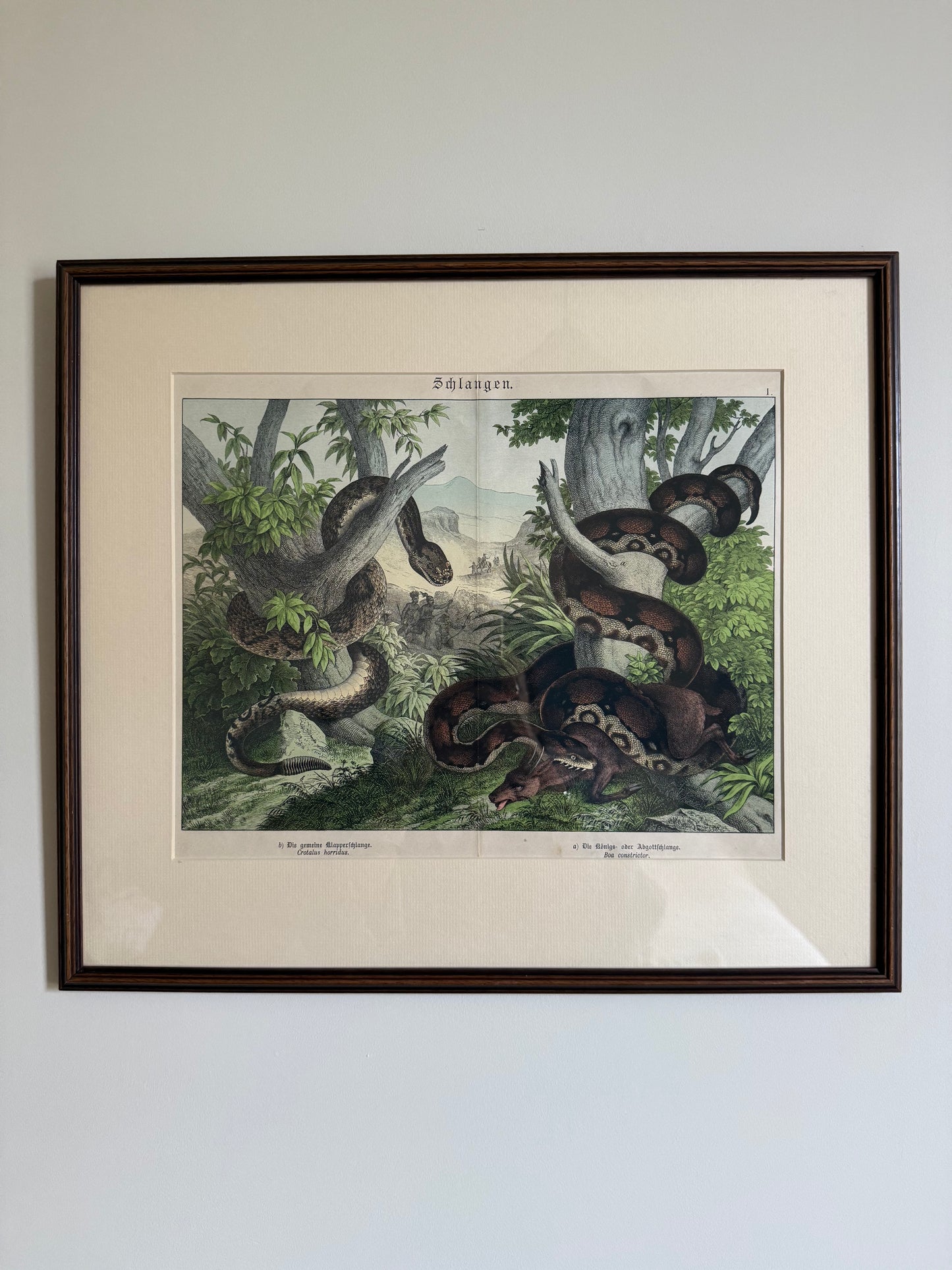 Antique Framed Snake
