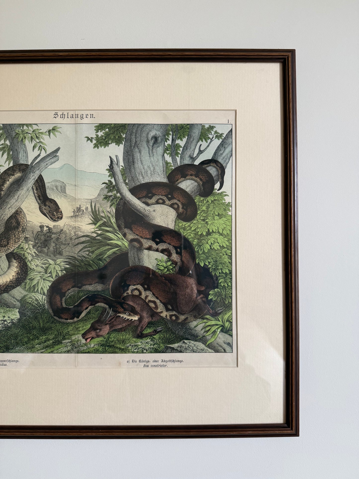 Antique Framed Snake