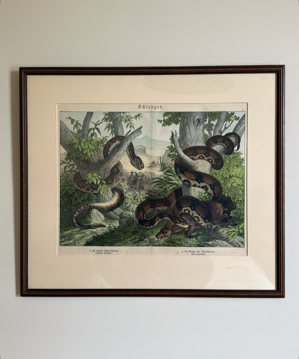 Antique Framed Snake