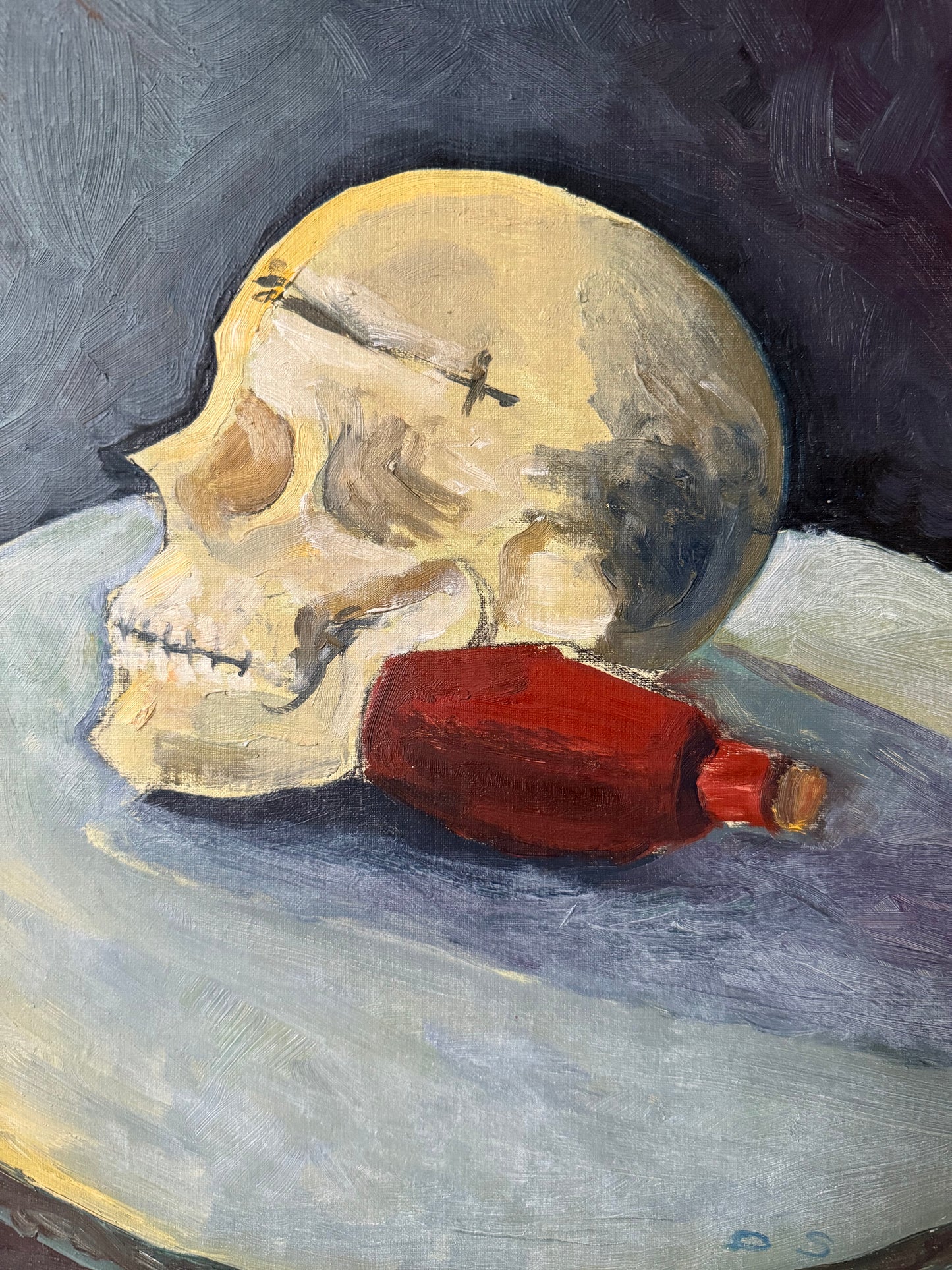 Skull Still Life