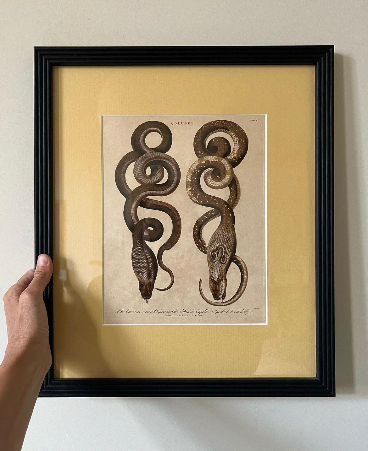 Viper Engraving