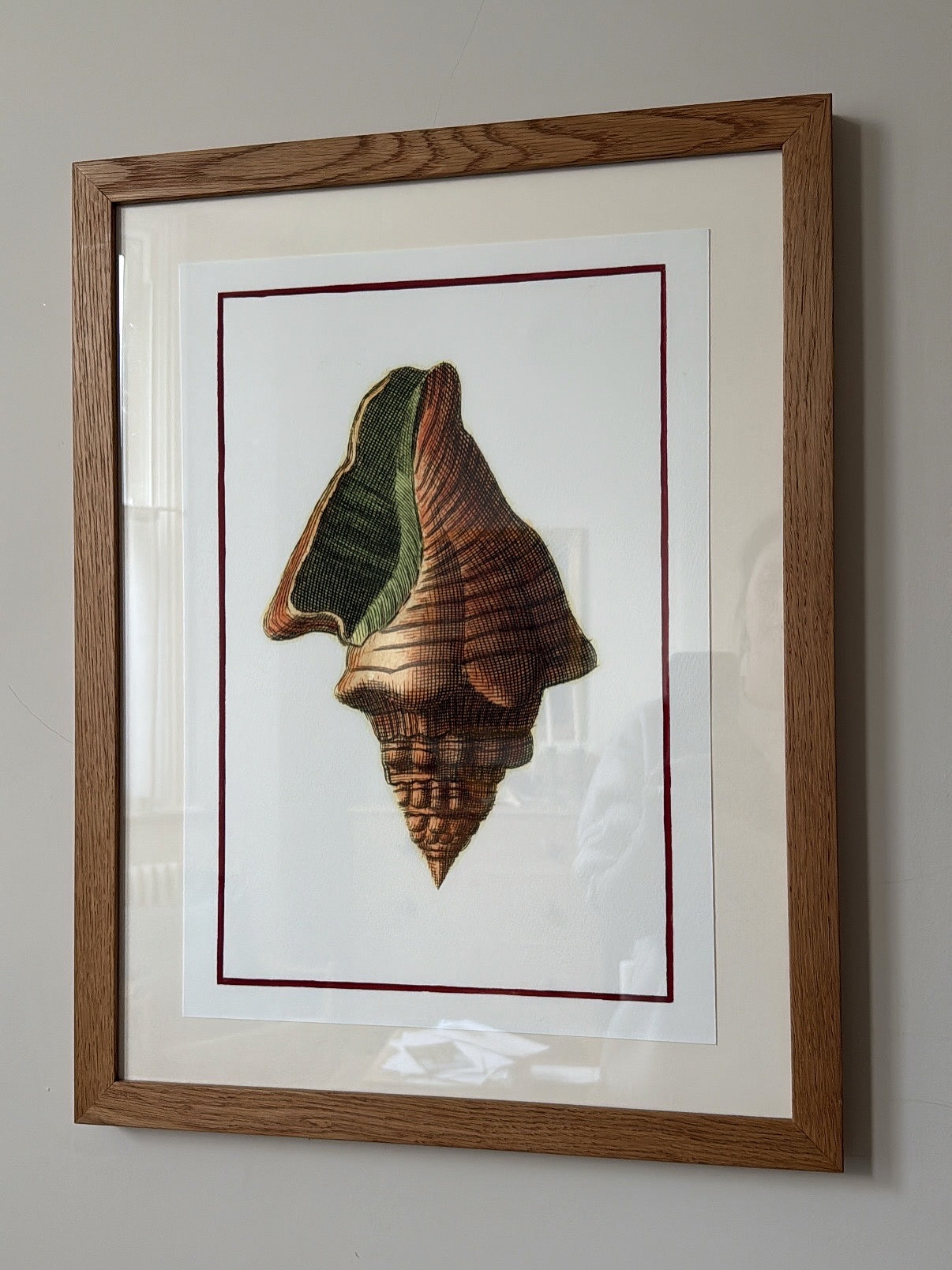 Framed Bohome Shell Print