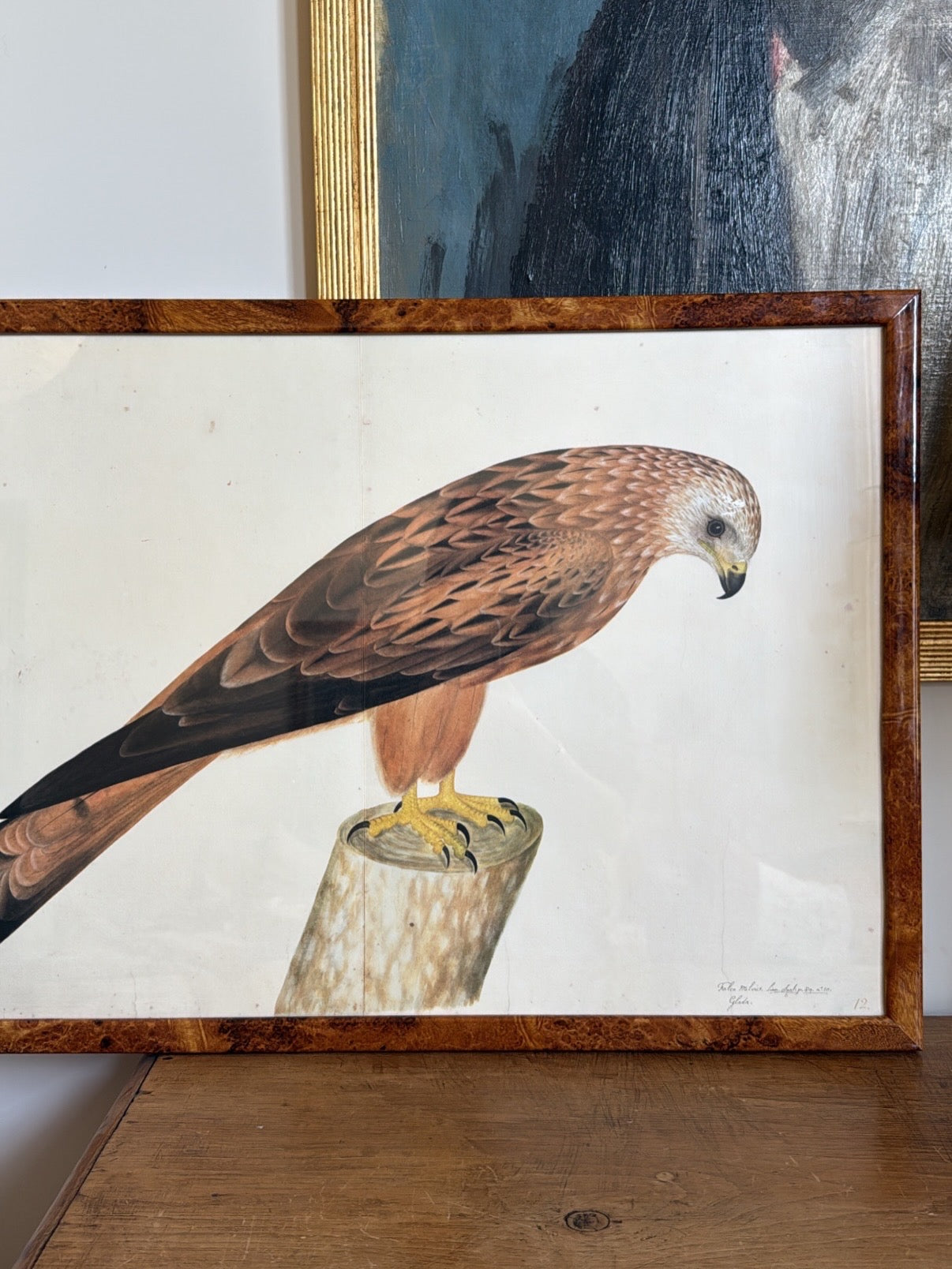 Vintage Framed Falcon