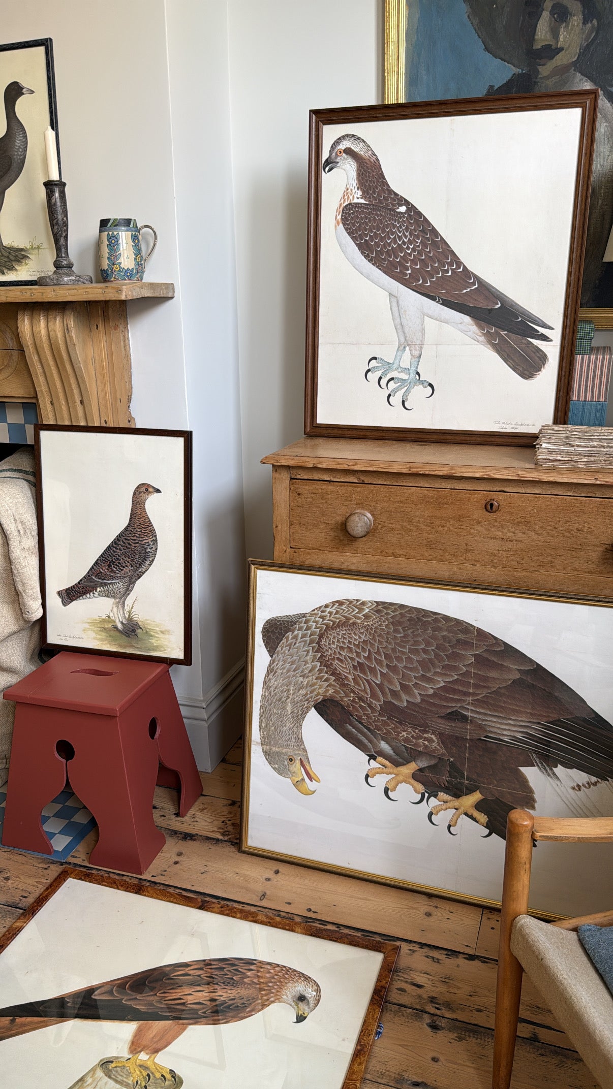 Vintage Framed Falcon