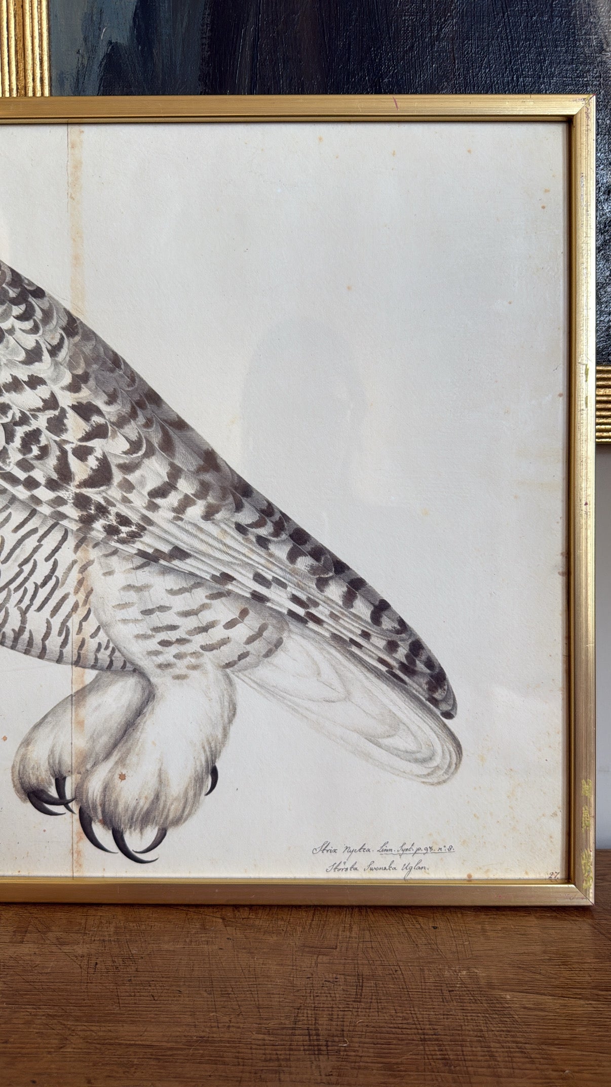 Vintage Framed Owl
