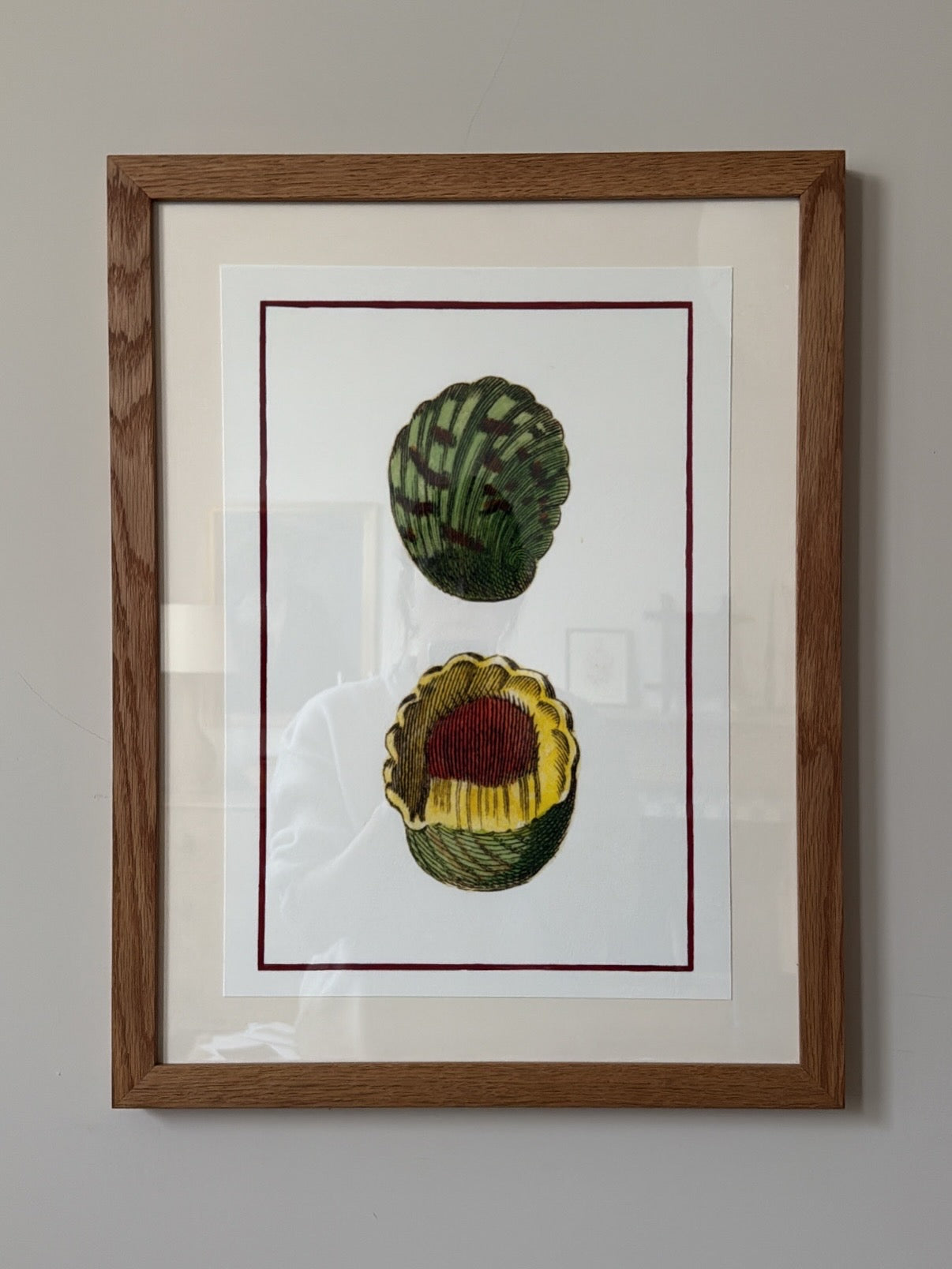 Framed Bohome Shell Print 2