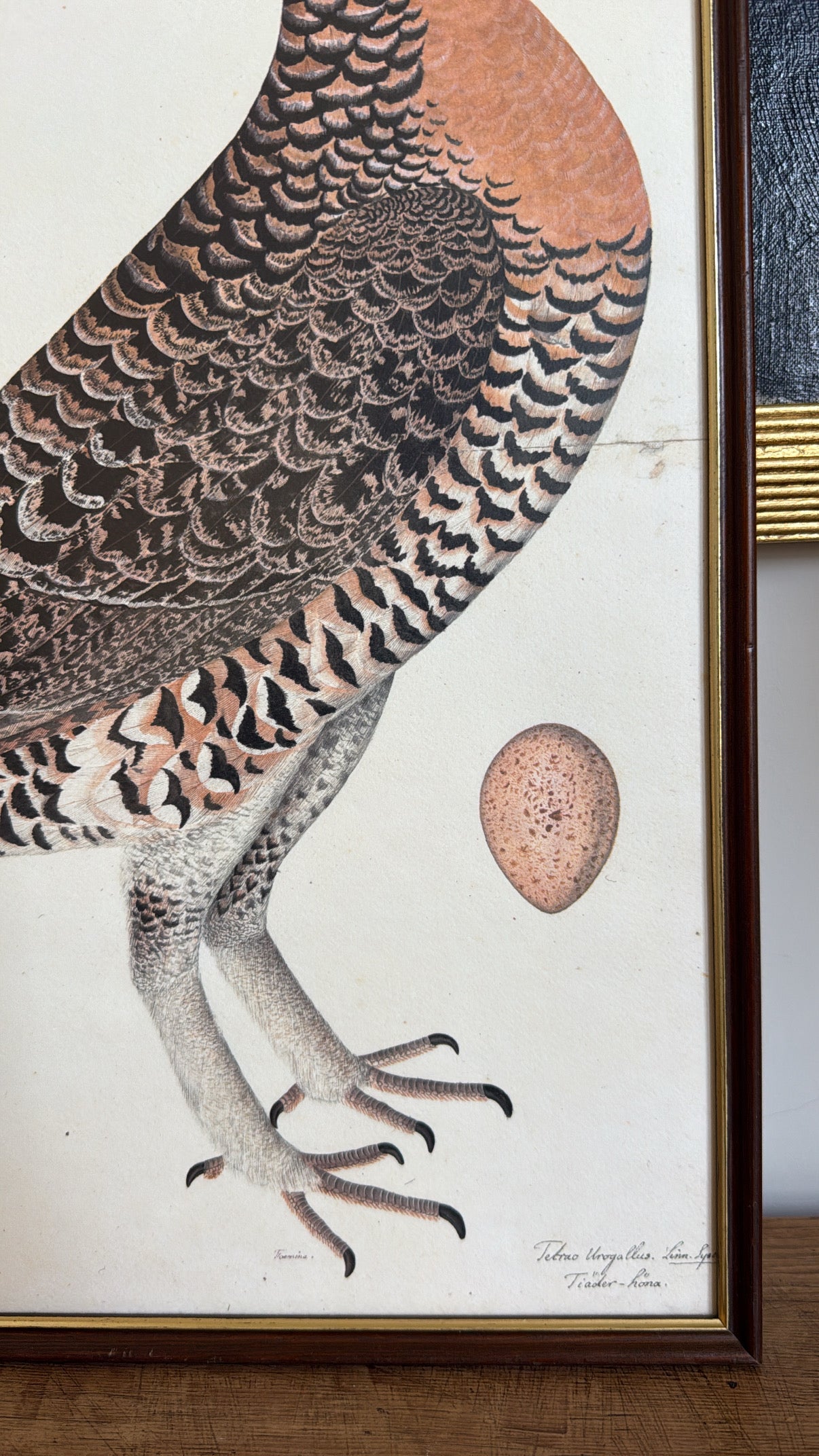 Vintage Framed Hen