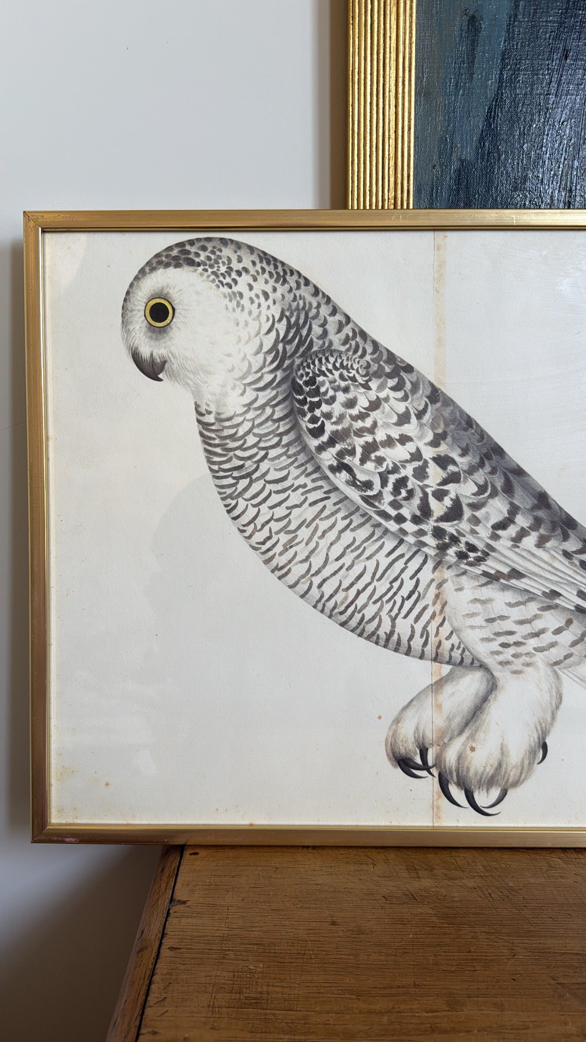 Vintage Framed Owl