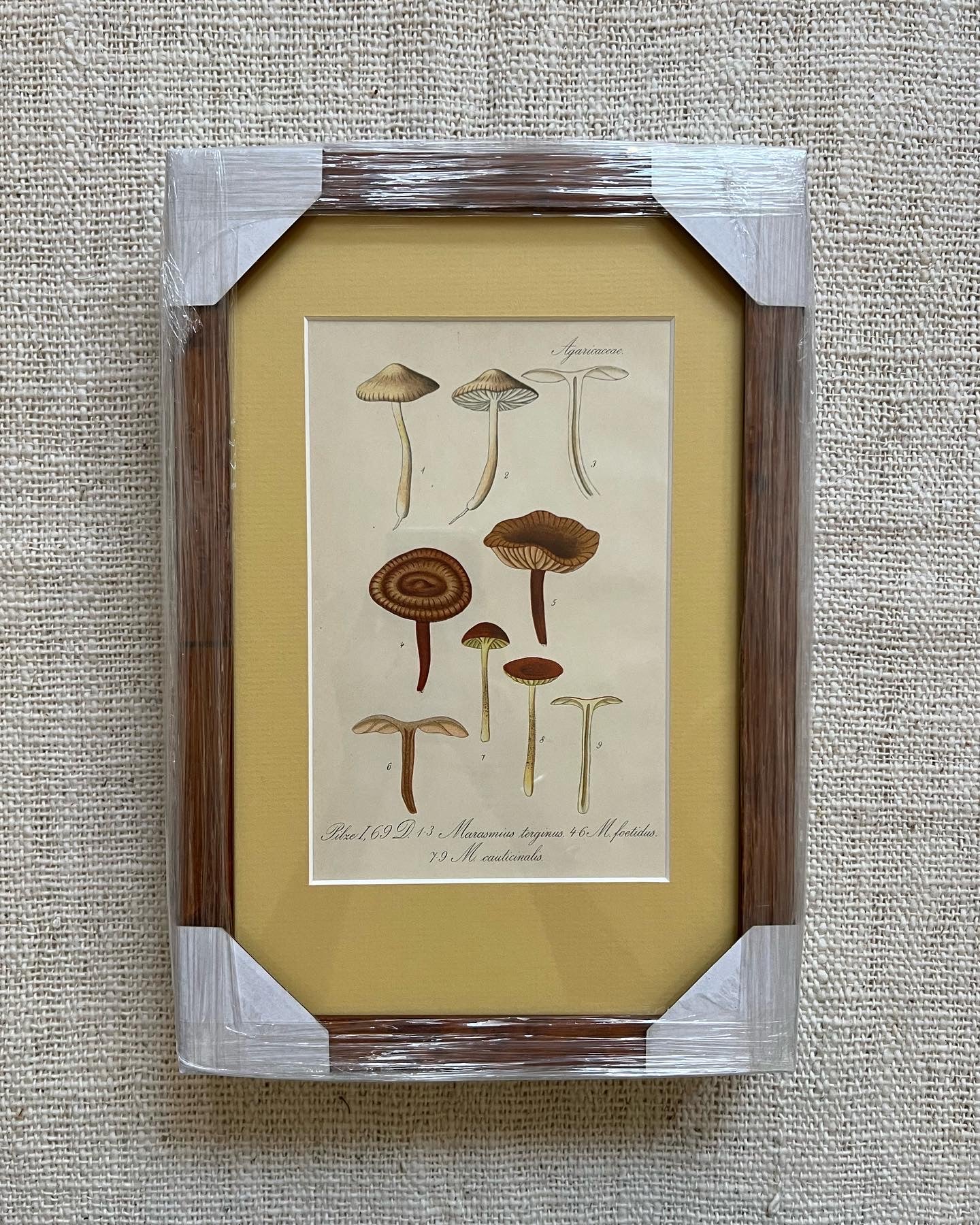 A set of 3 Antique Mushrooms