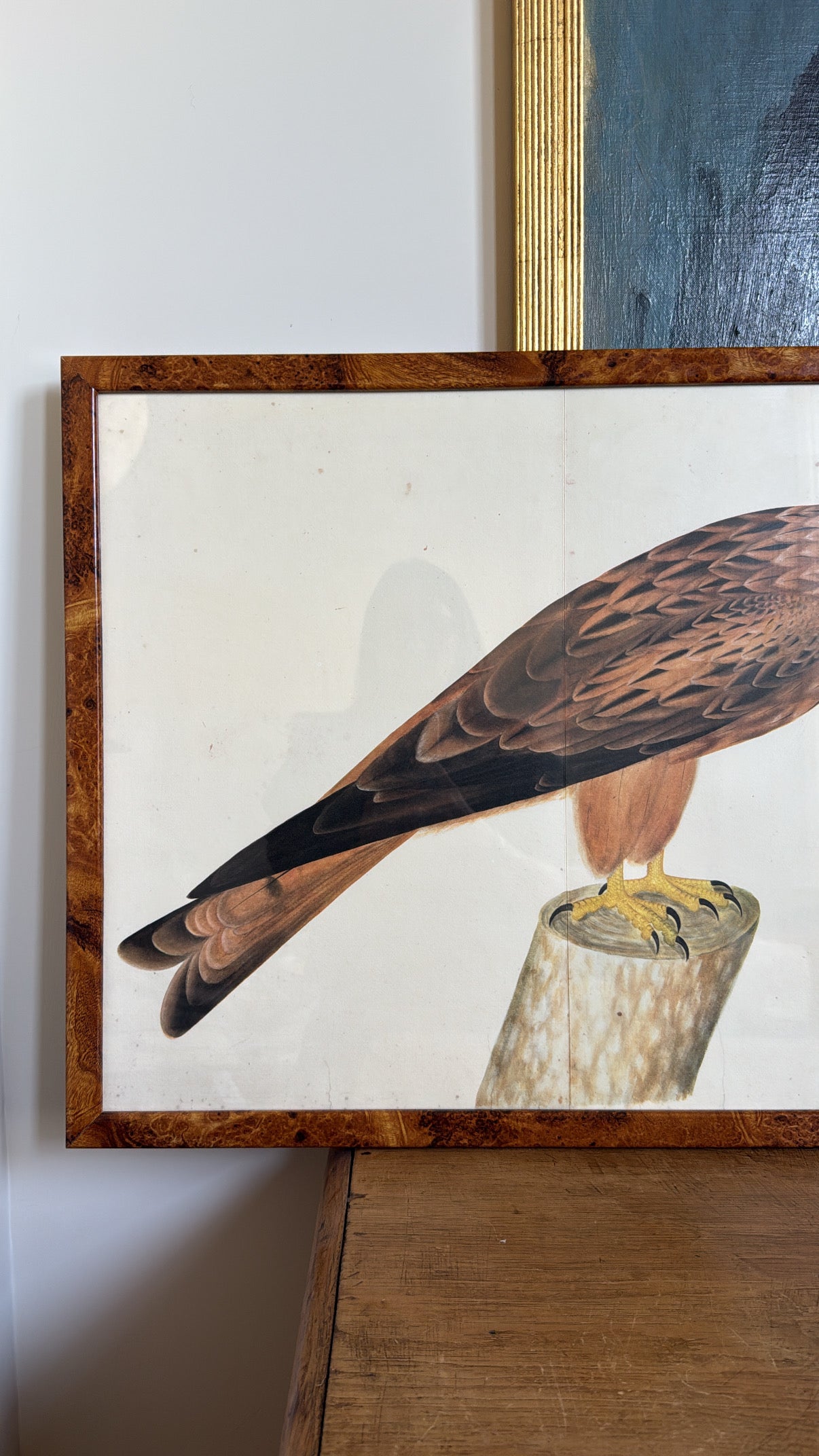 Vintage Framed Falcon