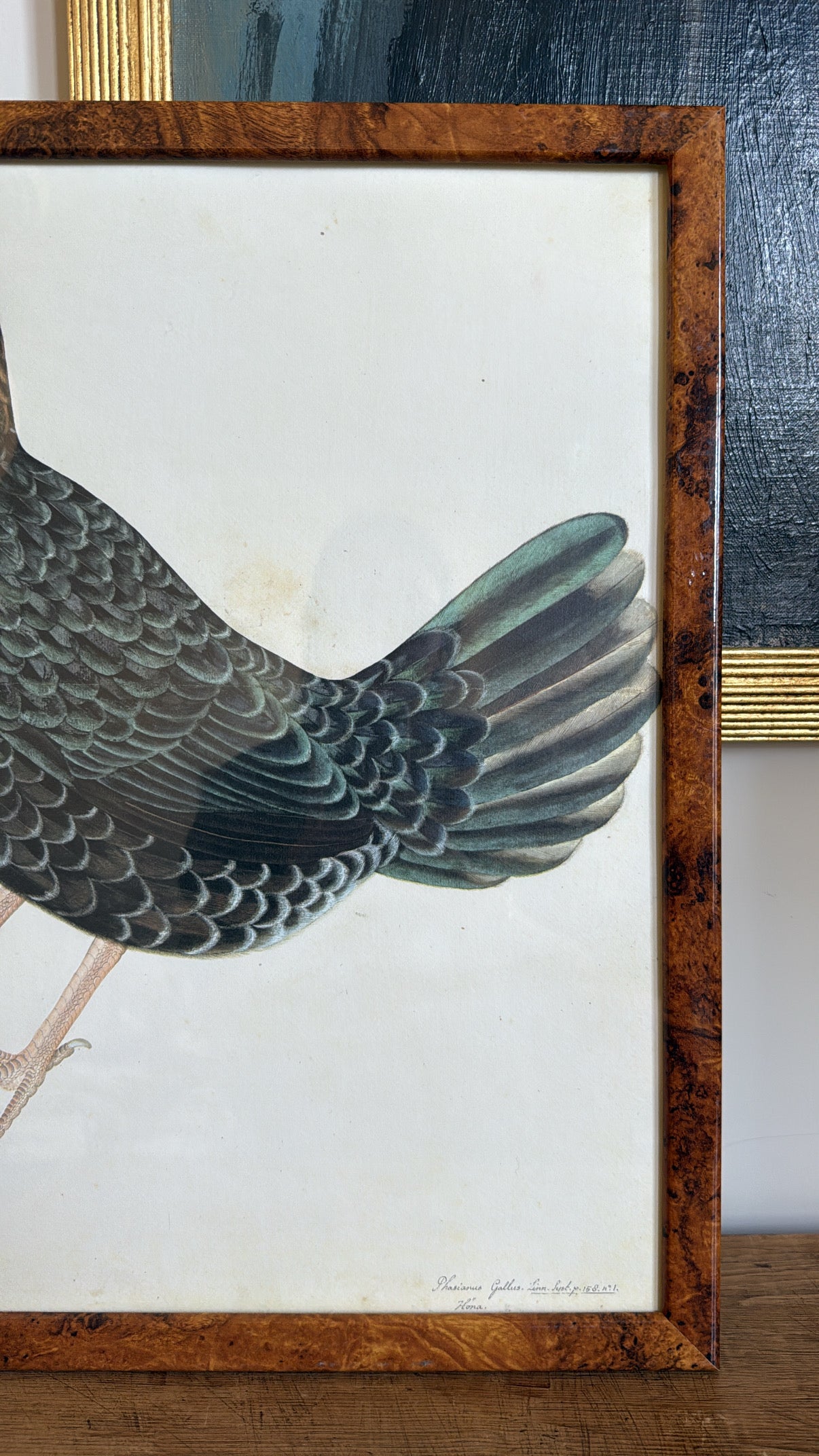 Vintage Framed Hen