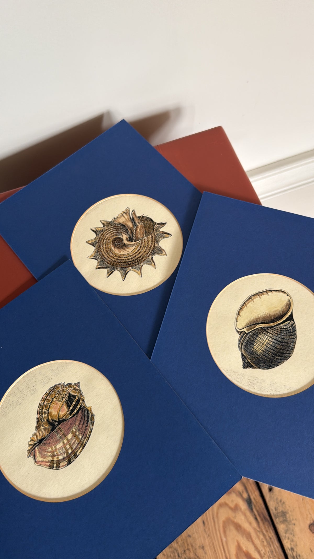 A Set of 4 Shell Prints