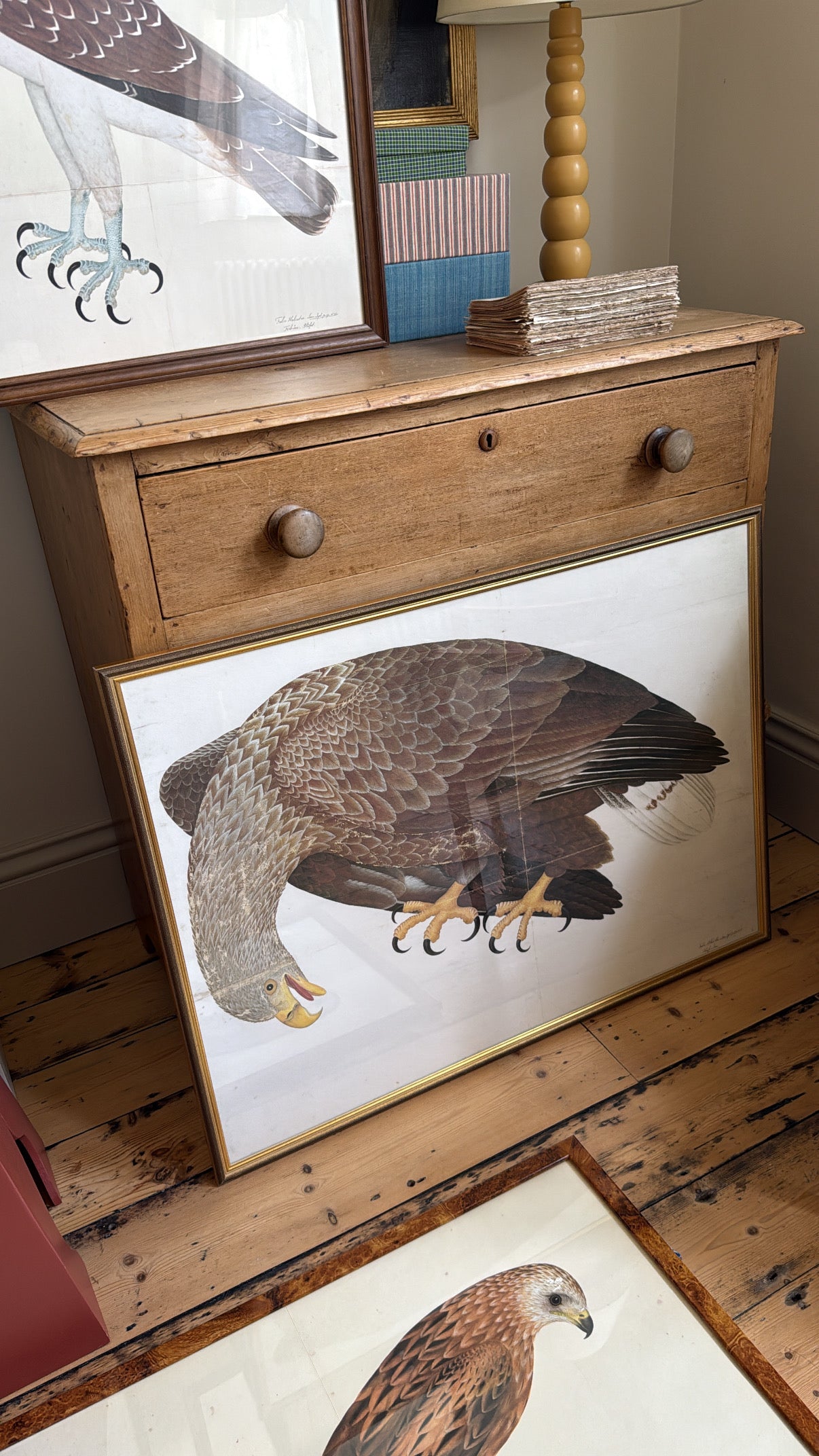 Vintage Framed Falcon