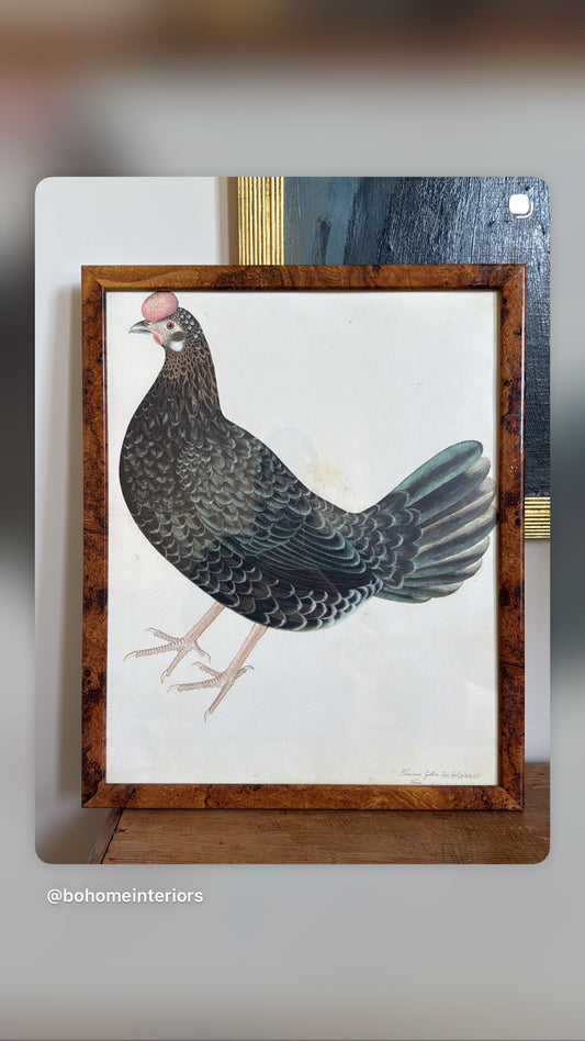 Vintage Framed Hen