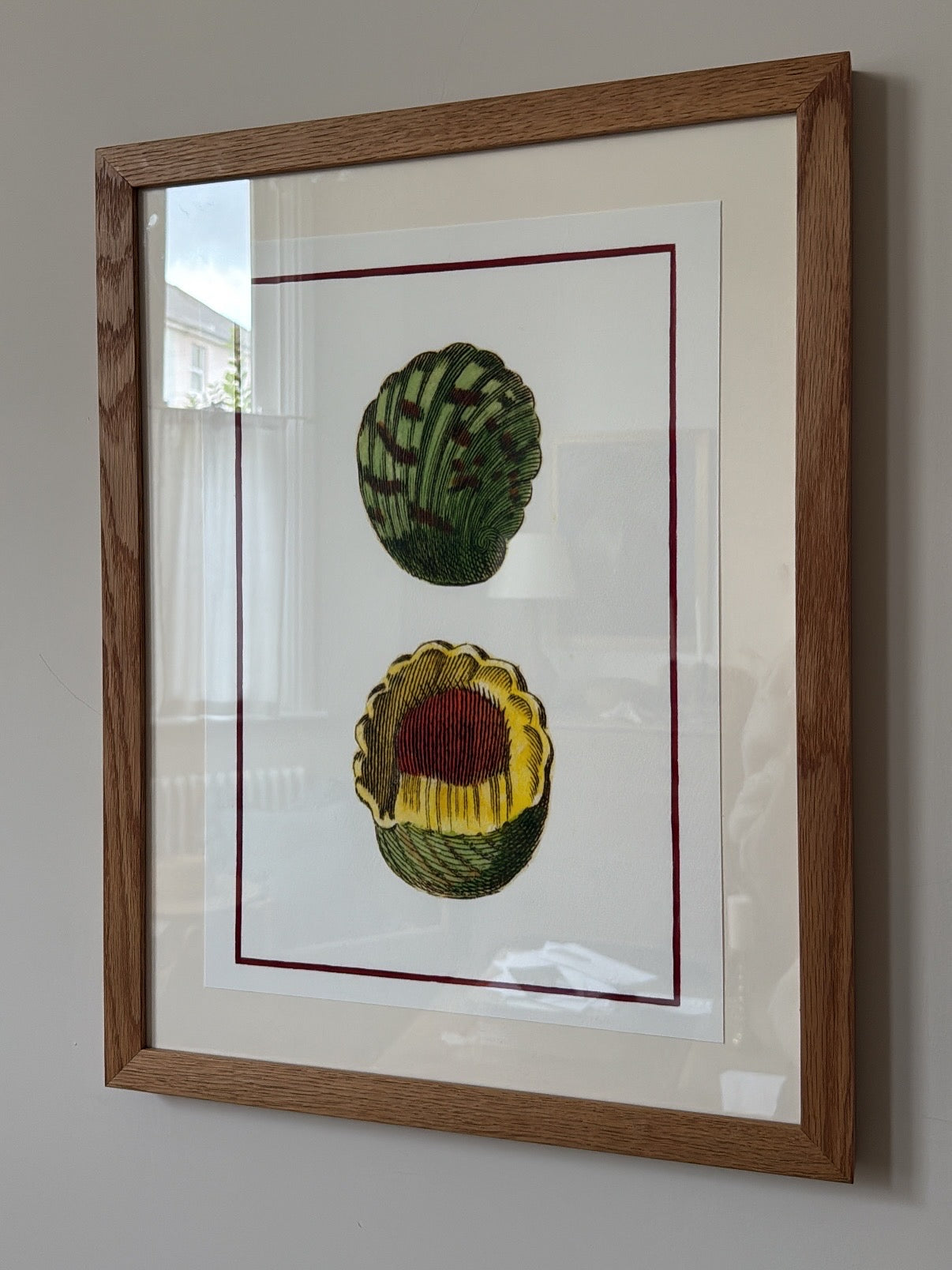 Framed Bohome Shell Print 2