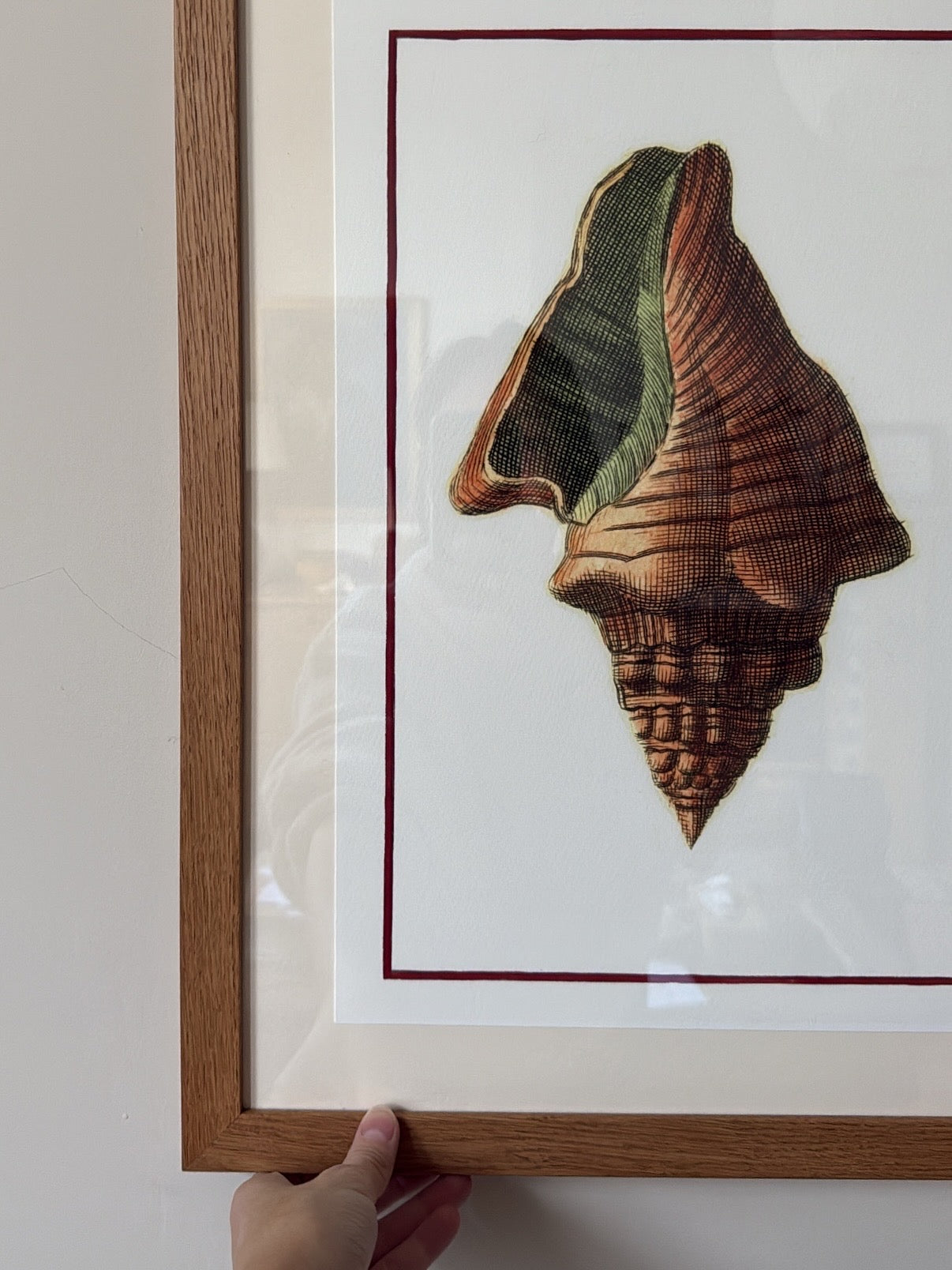 Framed Bohome Shell Print