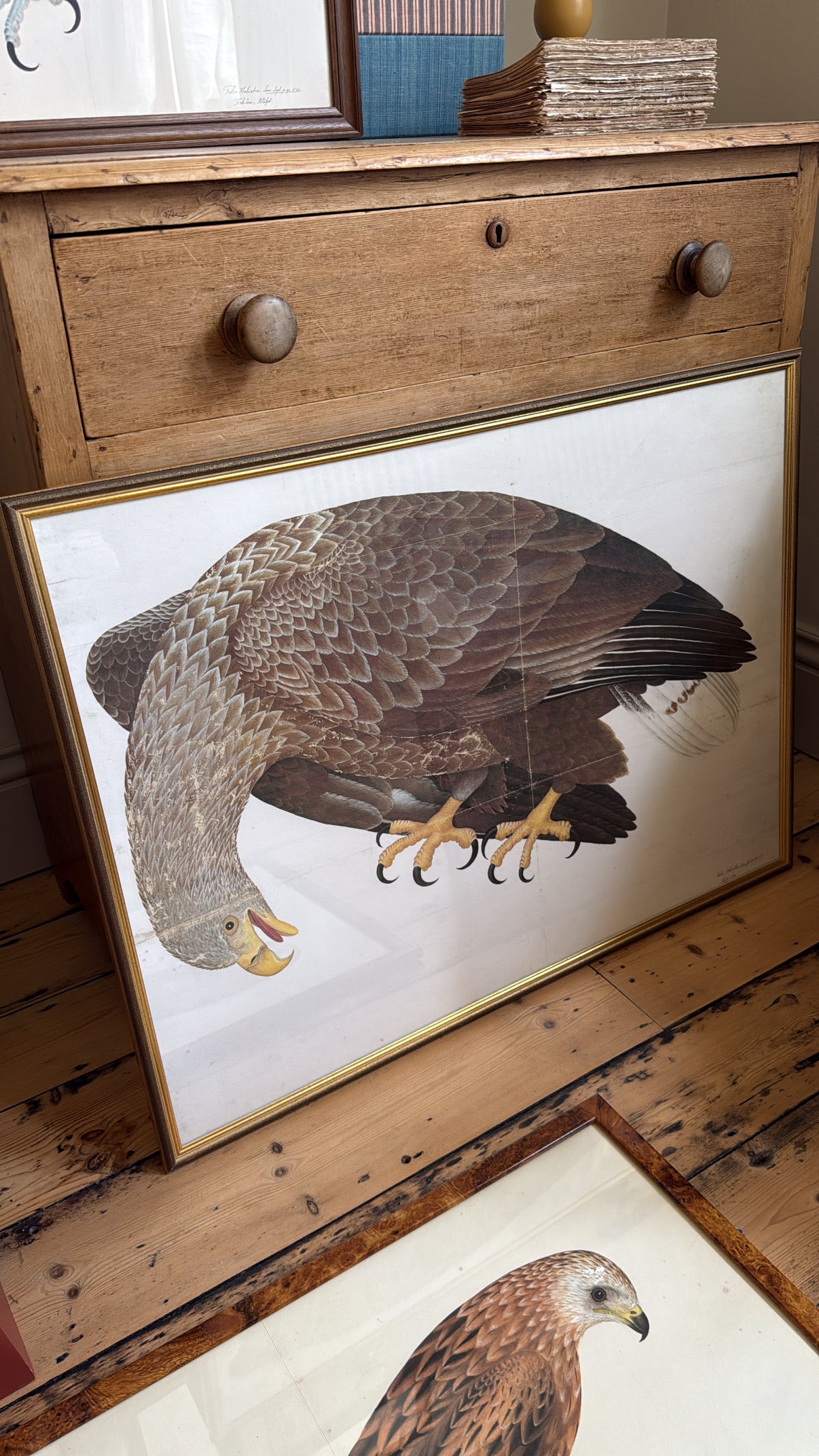 Vintage Framed Falcon