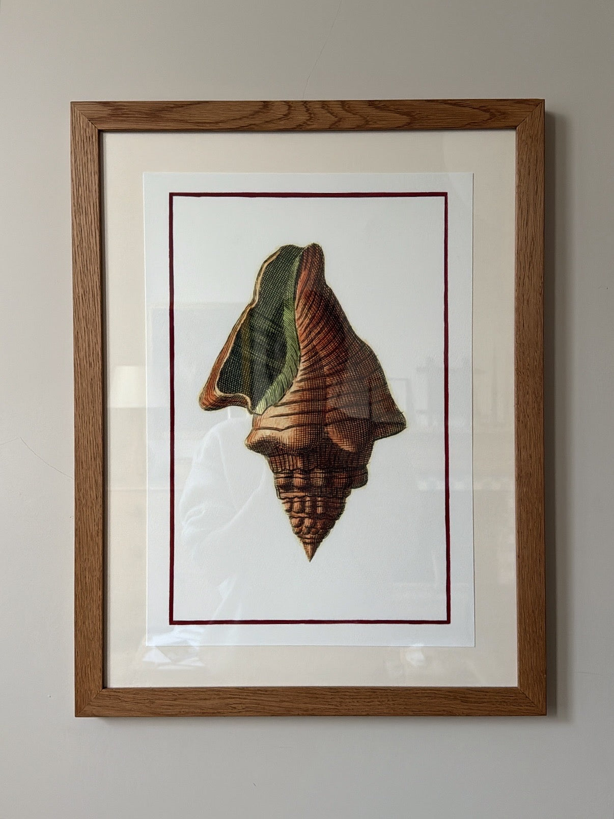 Framed Bohome Shell Print