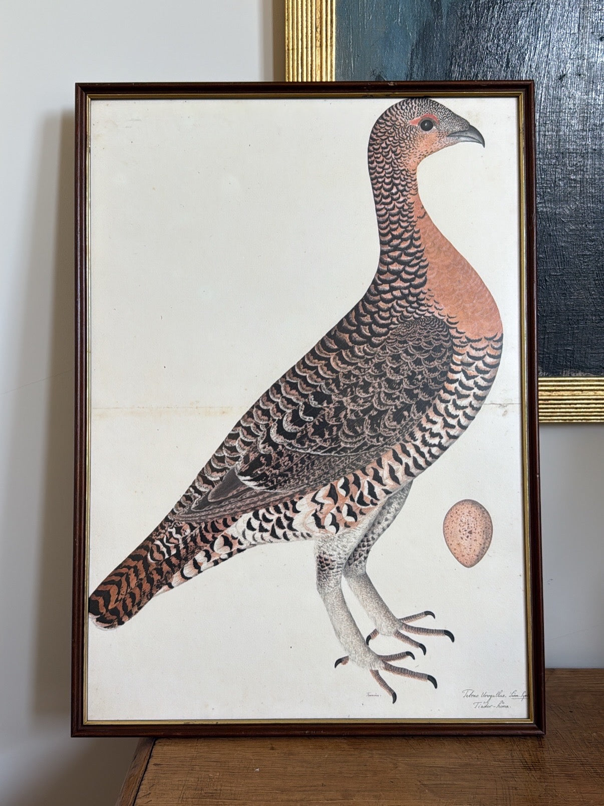 Vintage Framed Hen