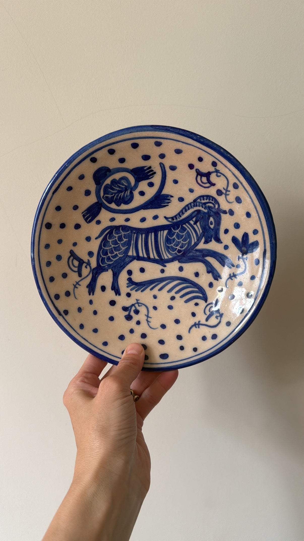 Vintage Dotty Wall Plate 2