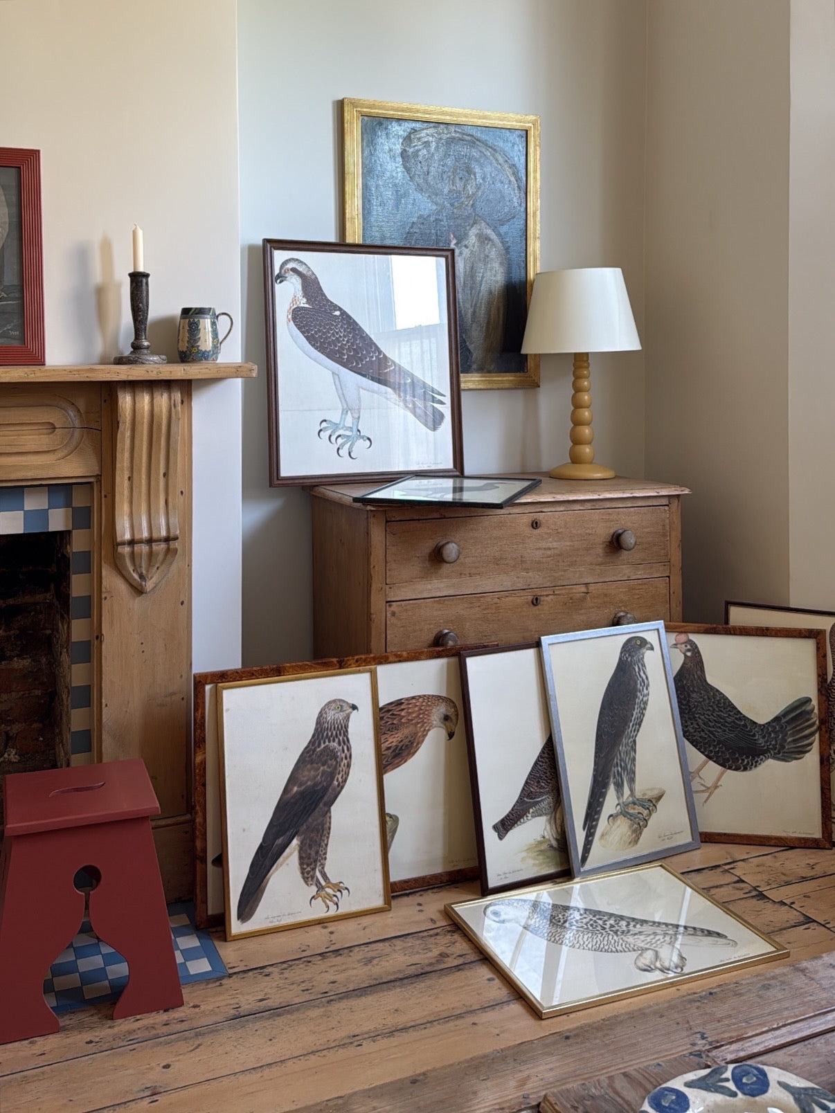 Vintage Framed Falcon