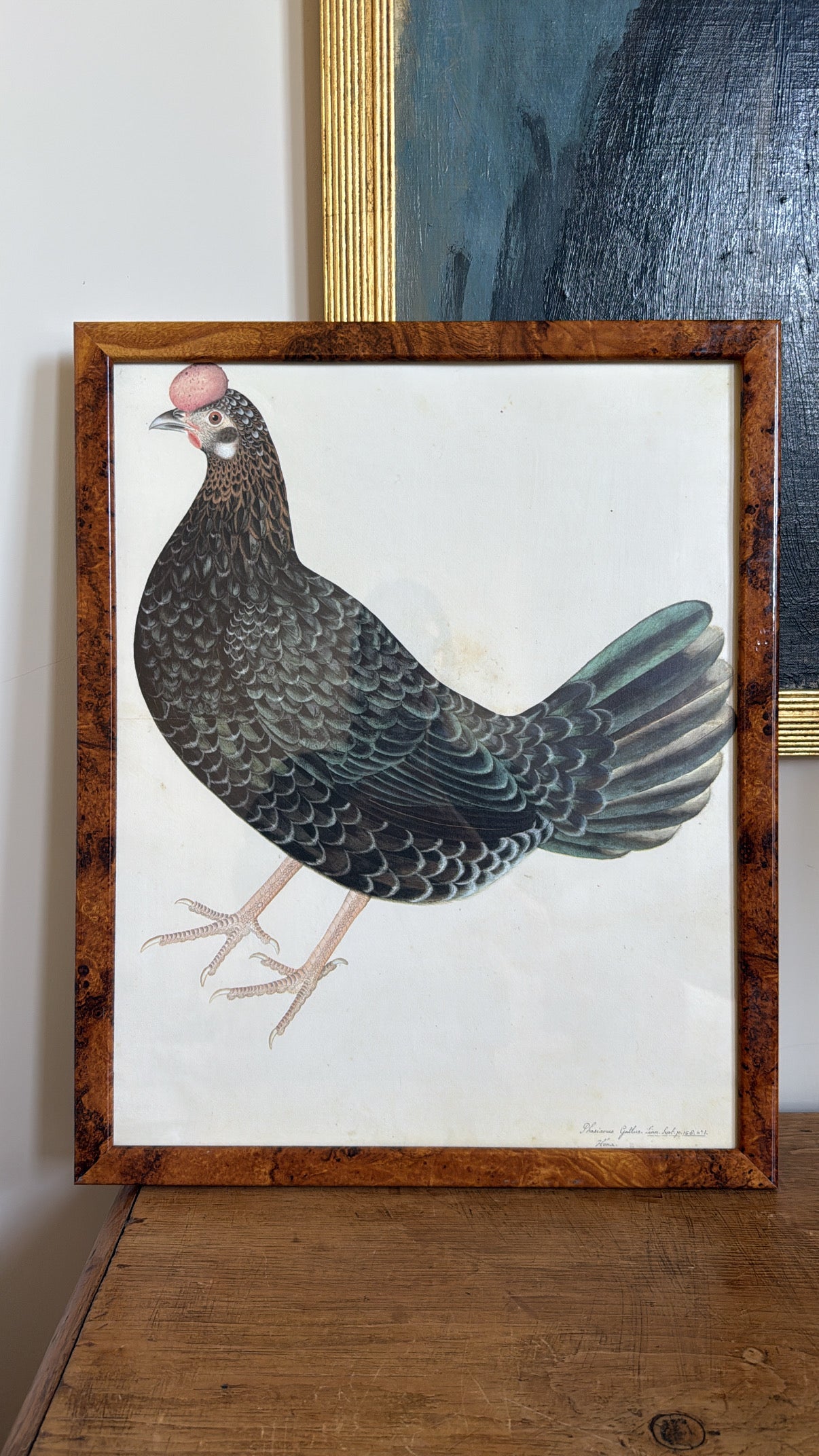 Vintage Framed Hen