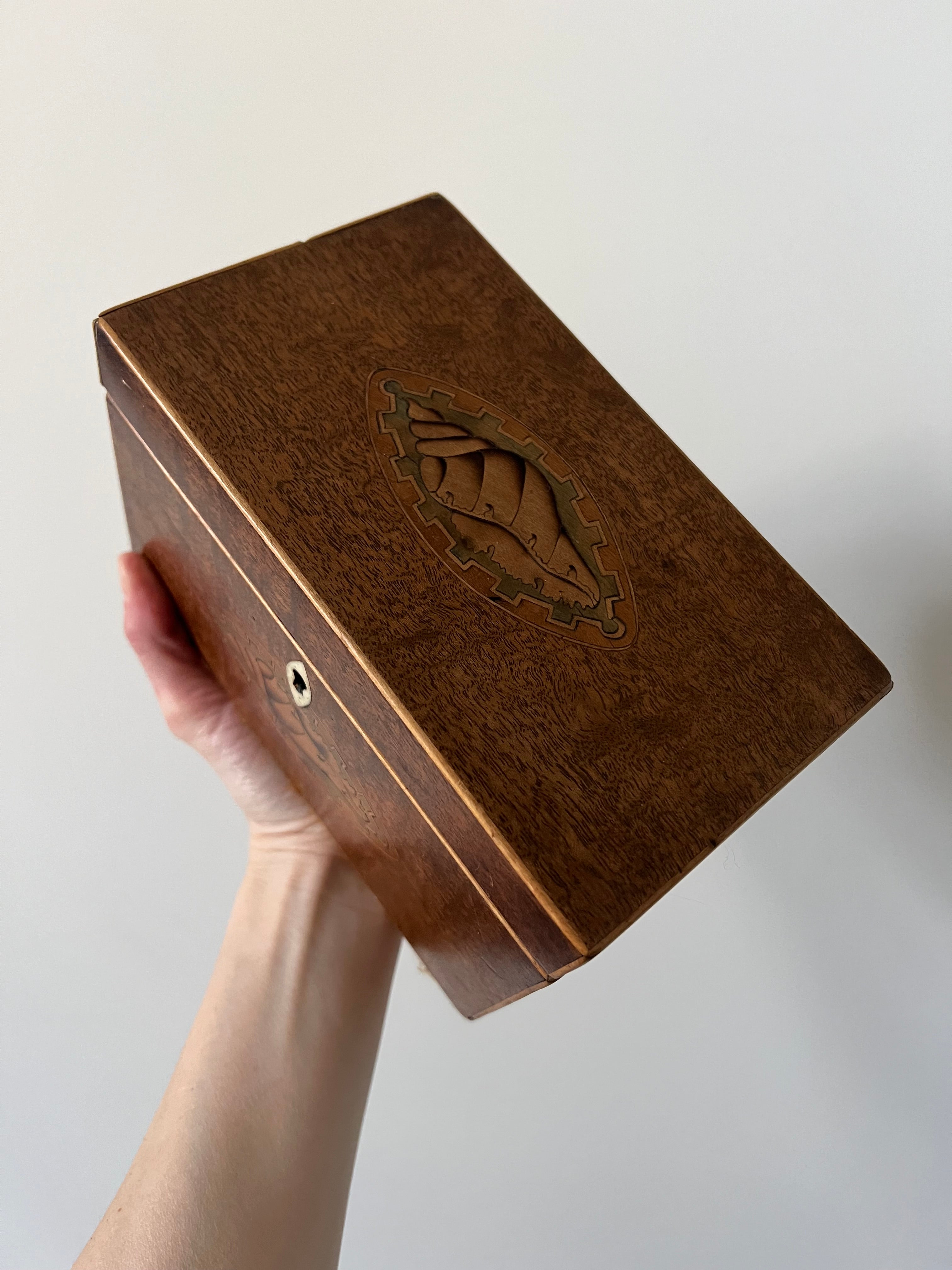 Antique Shell Box – Bohome Interiors