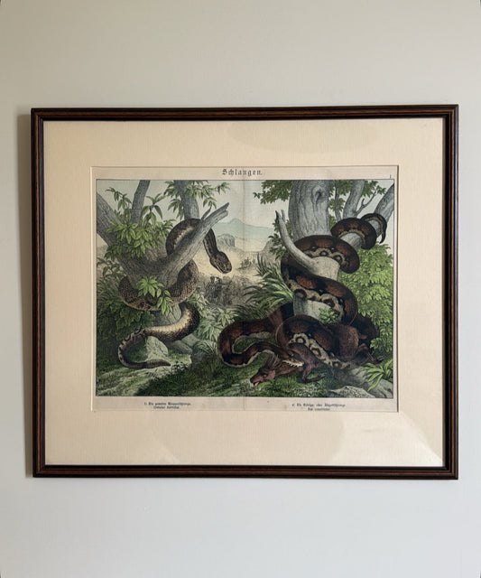 Antique Framed Snake