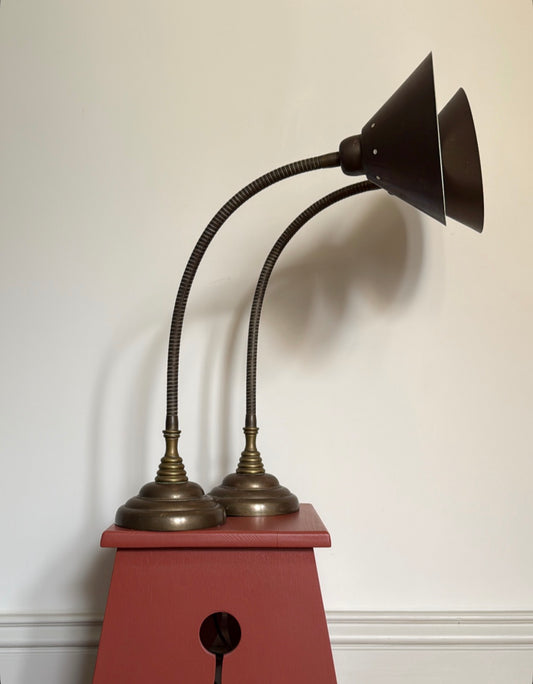 A Pair of Gooseneck Lamps
