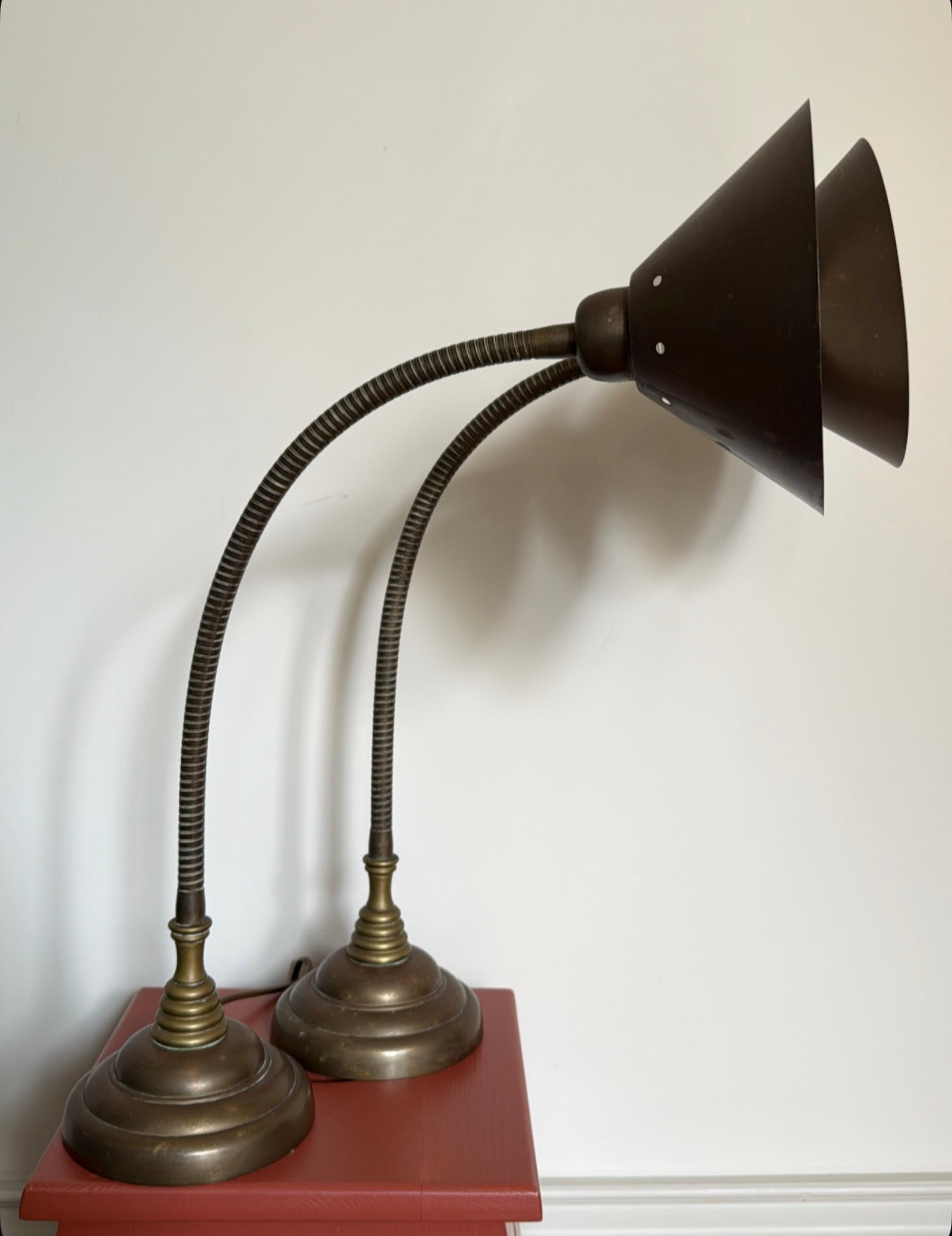 A Pair of Gooseneck Lamps